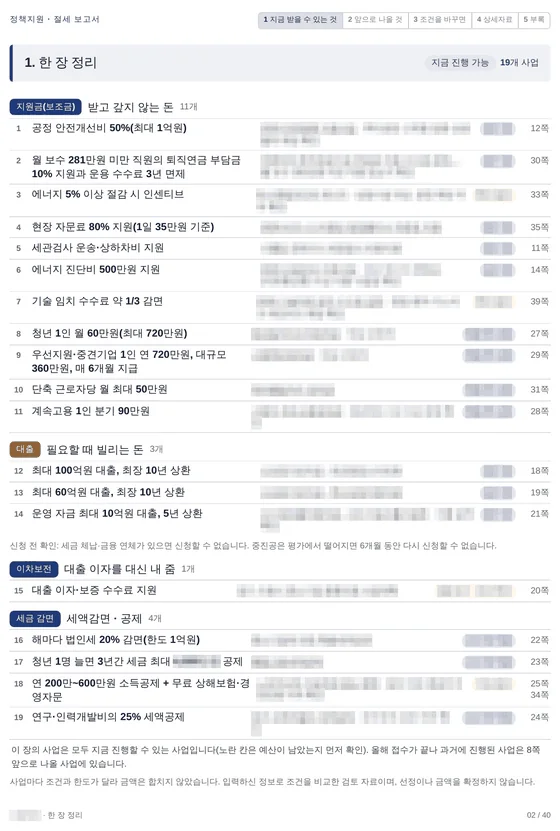 한 장 정리 쪽. 지원금, 대출, 이자 지원, 세금 감면으로 나눈 사업 목록(사업명 가림)